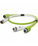 NEO OYAIDE d+ XLR CLASS B 1 MT