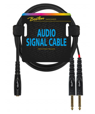 Boston AC-243-300 Cavo per segnale audio, 3,00mt