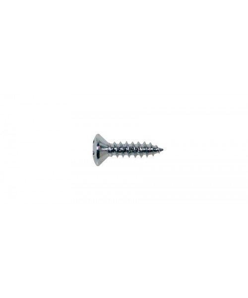 Boston TS-01-C Self-tapping screws, CFZ 12