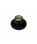 Boston Kg-260-V witch hat knob
