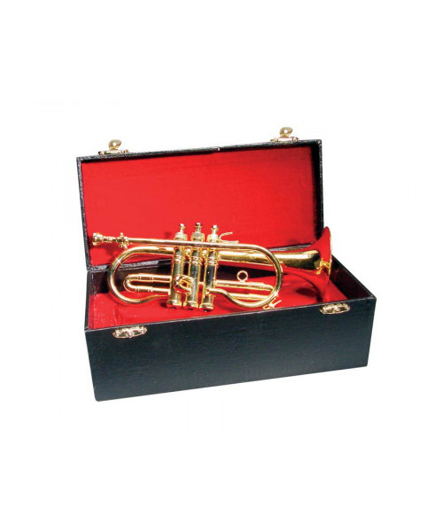Boston MCO-200 Miniature Cornetta with case, 20