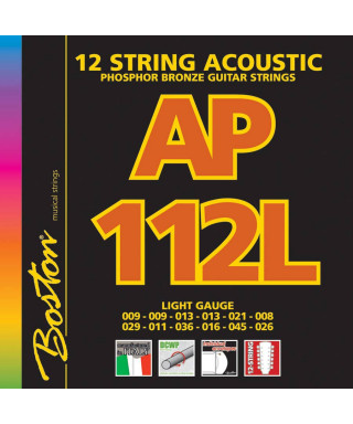 Boston AP-112-The wetsuits for acoustic guitar 12 strings
