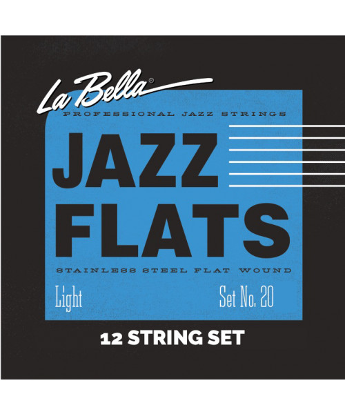 Label 20p-12 string string mits 12 strings electric guitar