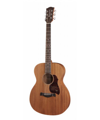 richwood a-50 auditorium acoustic guitar