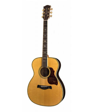 richwood a-70-go Auditorium acoustic guitar