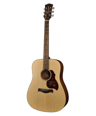 Richwood D-20-and Acoustic guitar Dreadnought electrified