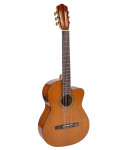 Salvador cortez cc-10ce classical guitar 4/4 electrified