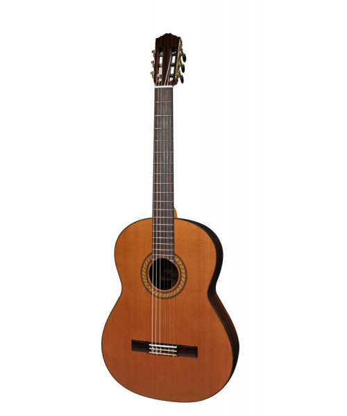 Salvador cortez cc-60-ba classical baritone guitar