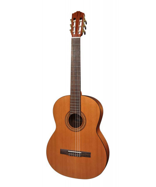 Salvador Cortez DC-22L Classic Guitar 4/4 handcreen