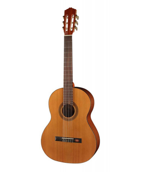 Salvador Cortez DC-10-SN Classical guitar 7/8