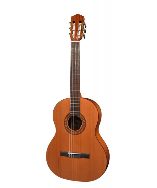 Salvador Cortez DC-22-SN Classical guitar 7/8