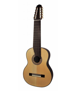 Salvador Cortez CS-60-10 classic guitar 10 strings