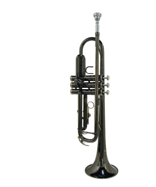 STEWART ELLIS If-1800-BC Trumpet with semi case-Drive