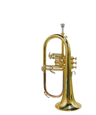 Stewart ellis if-1100-The soprano flumororno