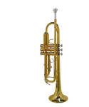 Stewart ellis se-1800-l tromba con astuccio semi-rigido 