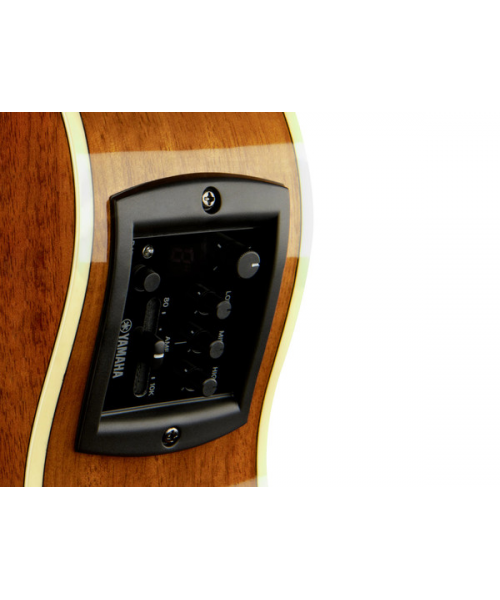 YAMAHA APX700II NATURAL