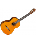 YAMAHA Cgx102a
