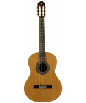 Jose Torres JTC-1  Chitarra Classica in Cedro e Mogano | Piazzo