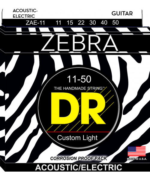 dr zae-11 zebra