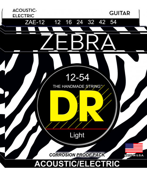 dr zae-12 zebra