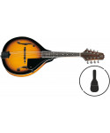 Oqan Qman-10E SB Sunburst