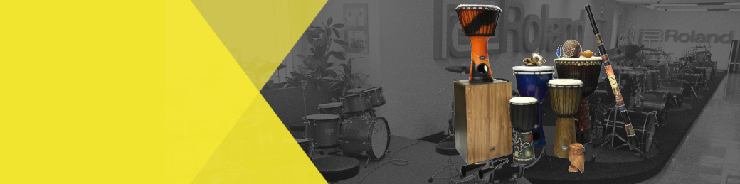 Percussion for school